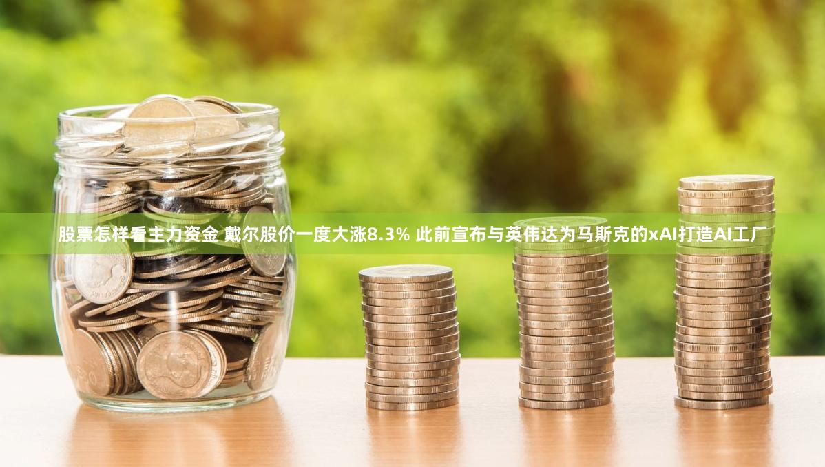 股票怎样看主力资金 戴尔股价一度大涨8.3% 此前宣布与英伟达为马斯克的xAI打造AI工厂