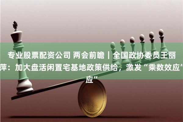 专业股票配资公司 两会前瞻｜全国政协委员王丽萍：加大盘活闲置宅基地政策供给，激发“乘数效应”